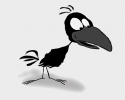 Noisy Crow's Avatar